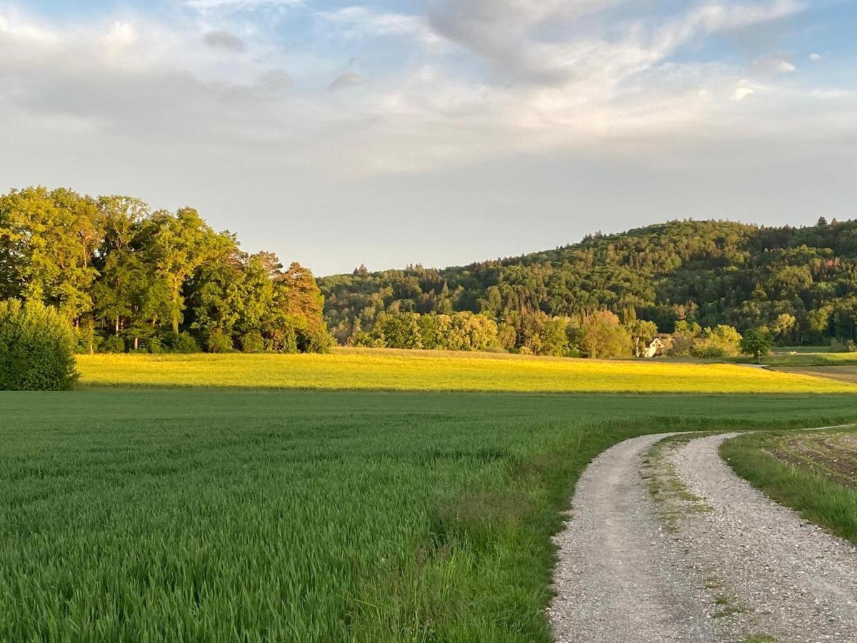 Buesingen Am Hochrhein Radfahren, Wandern, Natur Geniessen Exterior foto
