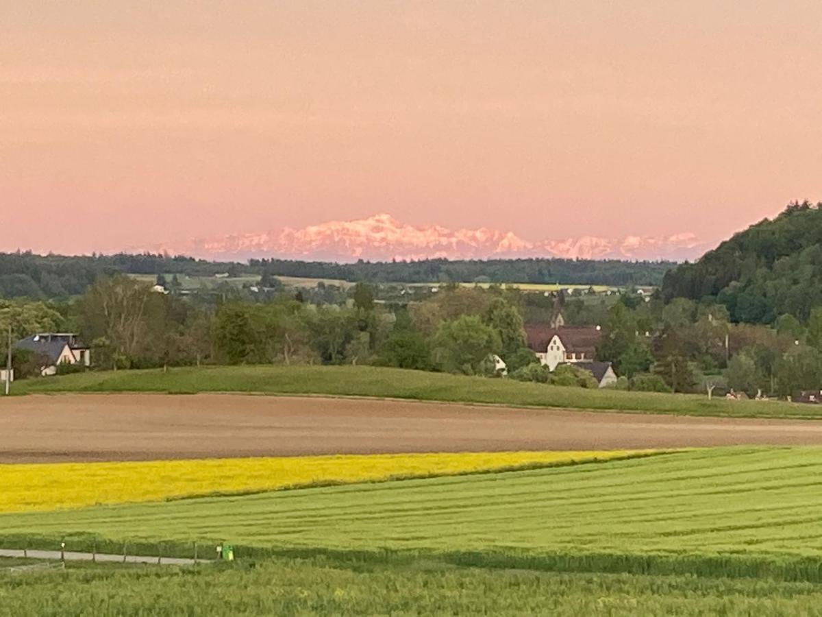 Buesingen Am Hochrhein Radfahren, Wandern, Natur Geniessen Exterior foto
