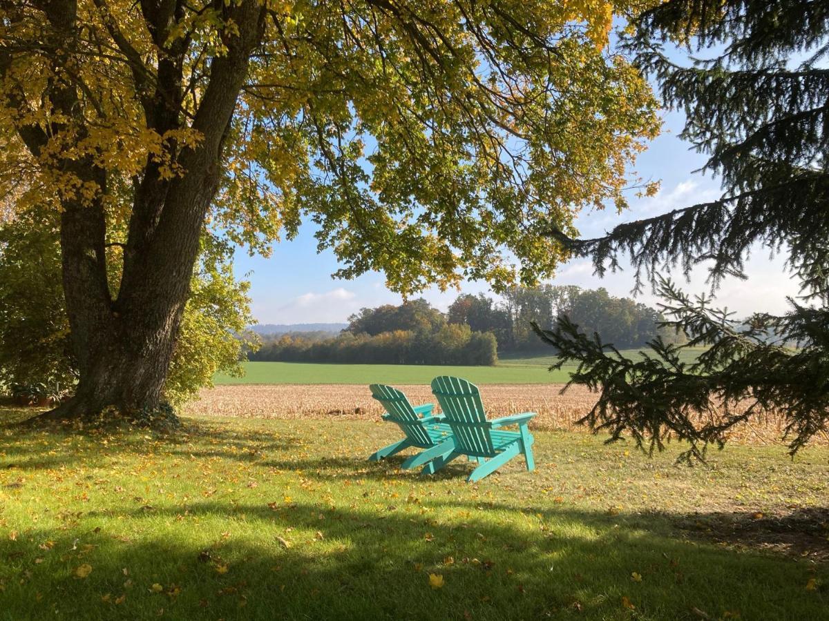 Buesingen Am Hochrhein Radfahren, Wandern, Natur Geniessen Exterior foto